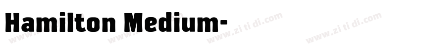 Hamilton Medium字体转换